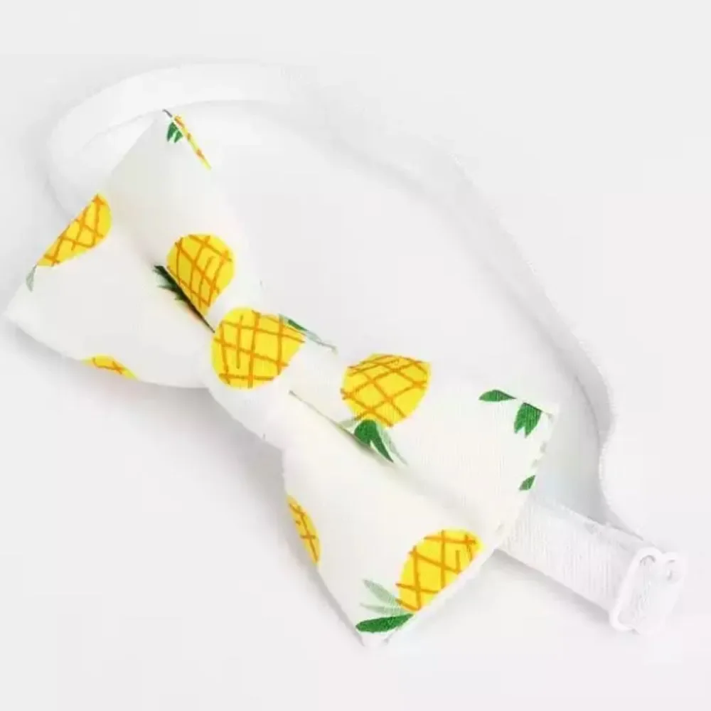 Trendy & Bright, Youth Adjustable Fruity Bow Tie, Assorted, One Size